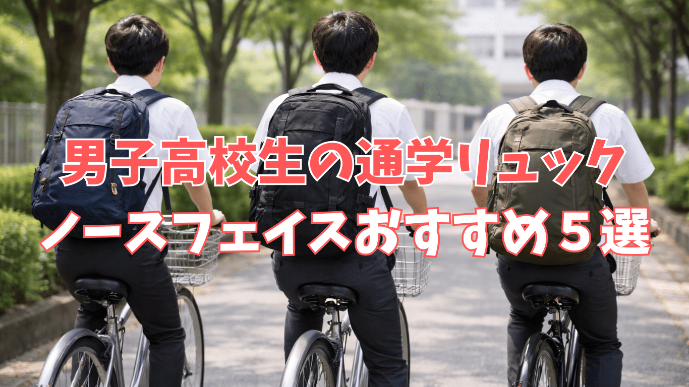 the-north-face-school-backpack.