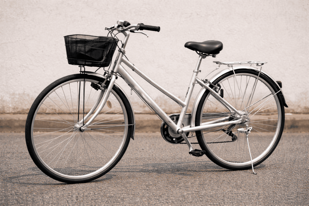 high-school-boys-bicycle